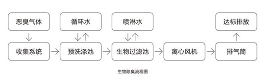 图片12